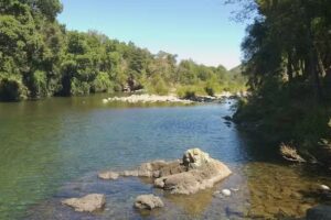 Refugio Quillaileo