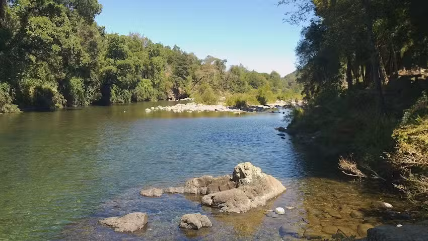 Refugio Quillaileo