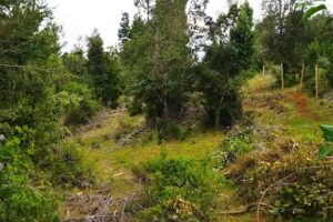 Refugio Tres Chiflones