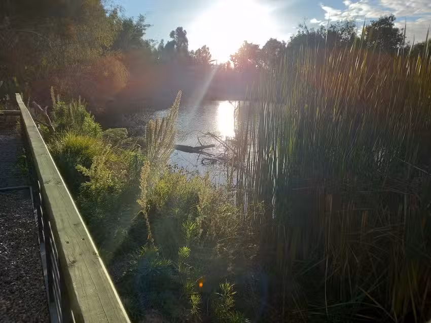 Remanso de Algarrobo