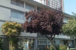 Rv Gestión Inmobiliaria Eirl