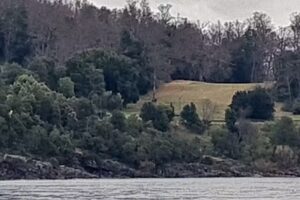 Tierra Pucon Propiedades & Proyectos