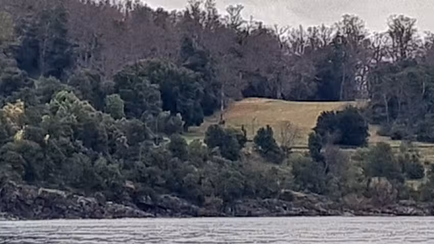 Tierra Pucon Propiedades & Proyectos