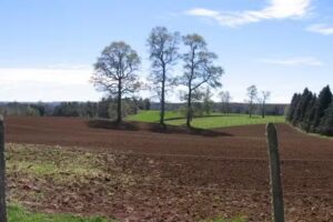 Tierras Altas Gestión Inmobiliaria Puerto Varas