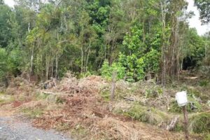 Venta de Parcela Riñinahue Mostazal Propiedades