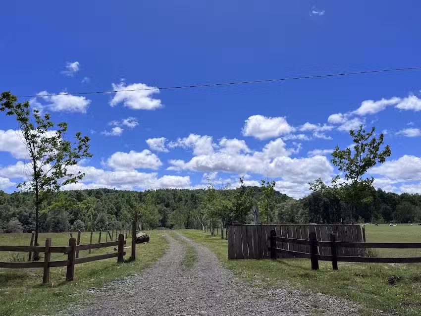 Vista Quepe