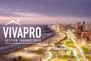 Vivapro, Gestion Inmobiliaria